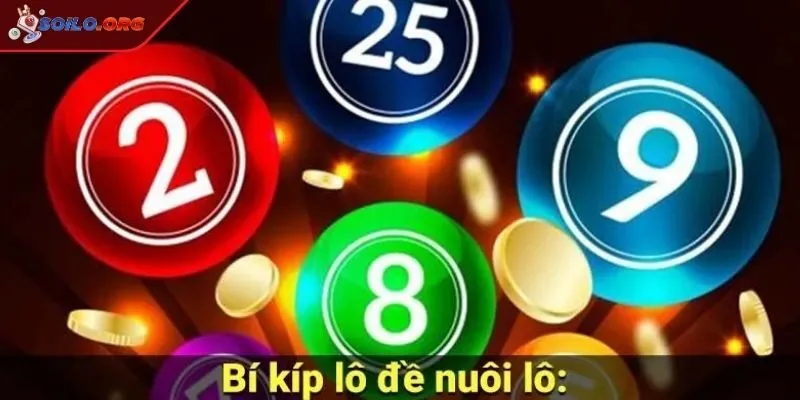 Chuyên mục khu chăn nuôi lô hấp dẫn cho anh em 